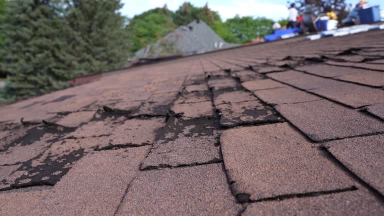 Best Steel Roofing  in Clinton, SC